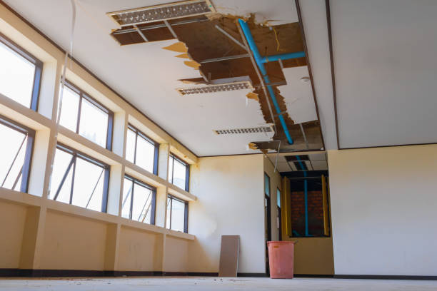 Best Mold removal after water damage  in Park Center, CO