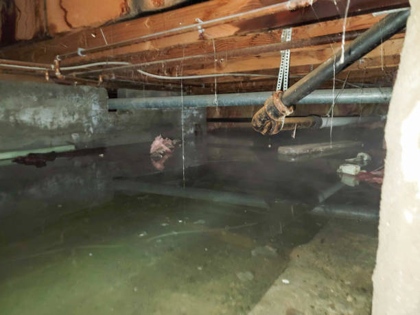Best 24/7 water damage repair  in Park Center, CO