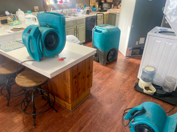 Best Local water damage restoration  in Park Center, CO
