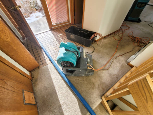 Best 24-hour water damage restoration  in Park Center, CO