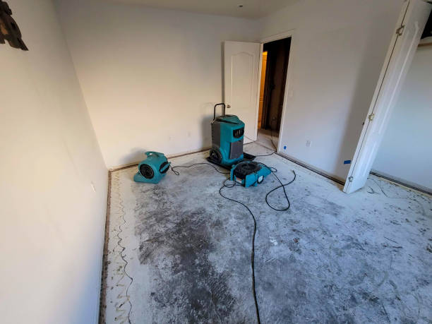 Carpet water damage restoration in Park Center, CO