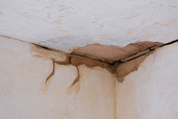 Professional Water damage restoration in Park Center, CO