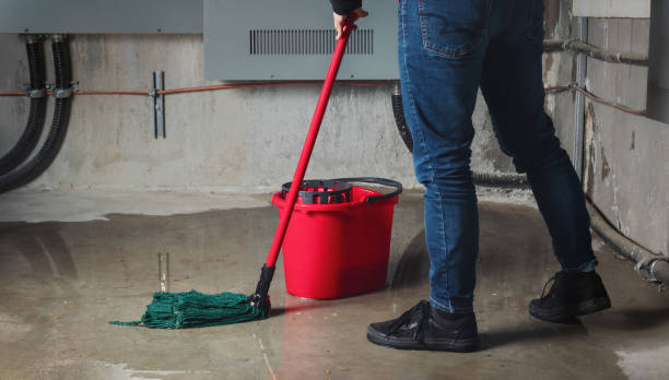 Best Water damage cleanup near me  in Park Center, CO