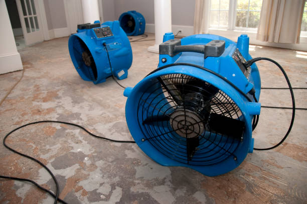 Best Residential water damage restoration  in Park Center, CO