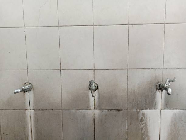 Best Carpet water damage restoration  in Park Center, CO