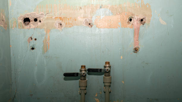 Best Basement water damage restoration  in Park Center, CO