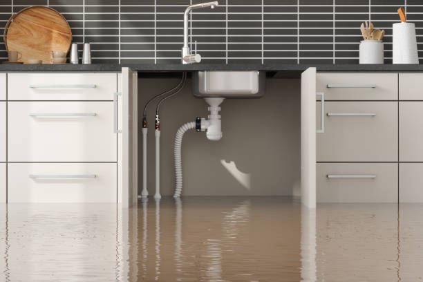 Best Flooded house restoration  in Park Center, CO