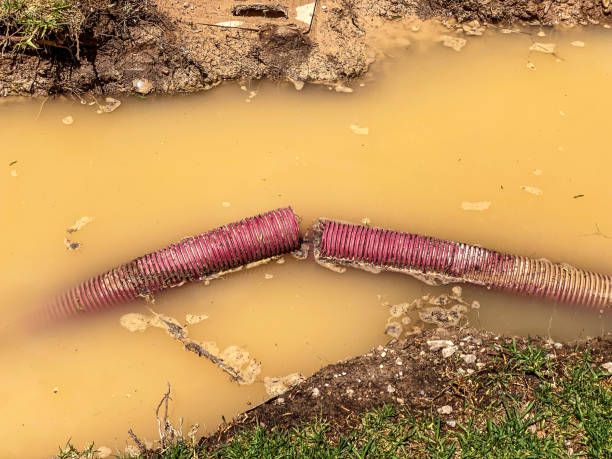 Water damage restoration mold remediation in Park Center, CO